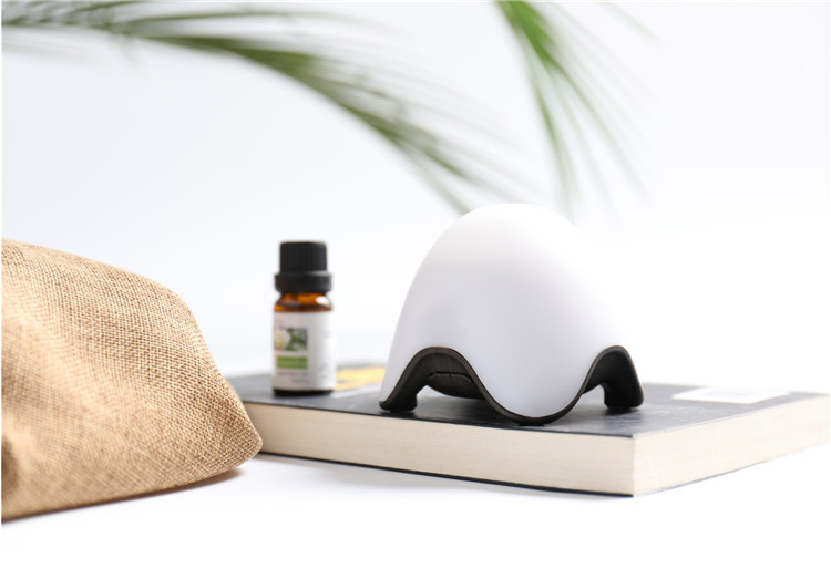 Carkin fashionable aromatherapy diffuser for essential oils
