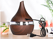 Aroma Diffuser Manufacturers-Power type