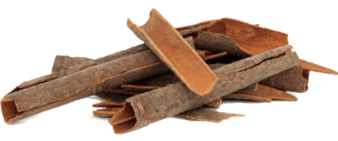 Cinnamon Plant extract essential oil