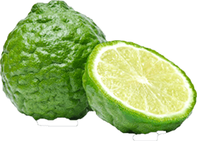 Bergamot plant Extraction of natural plant essential oils