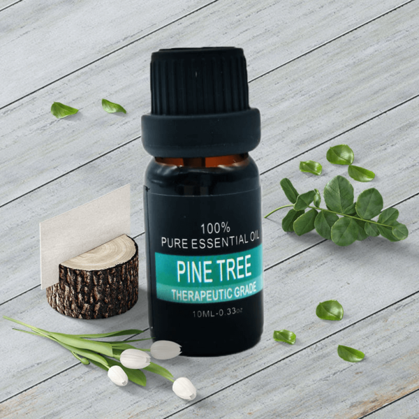 Pine Tree Essential Oil Bulk Wholesale