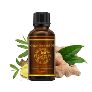 ginger essential oil bulk wholesale