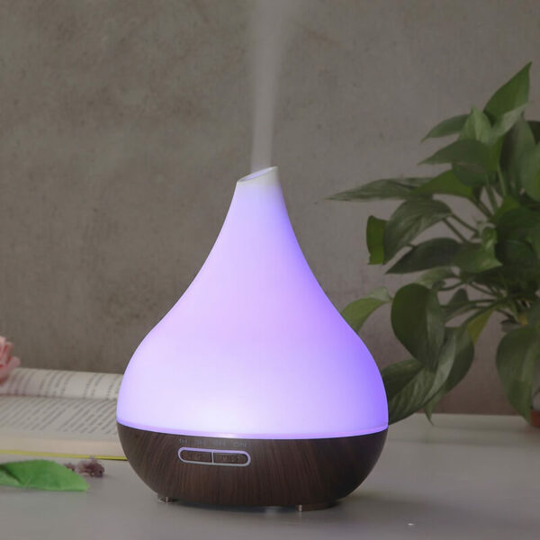 Portable electric aroma diffuser-purple
